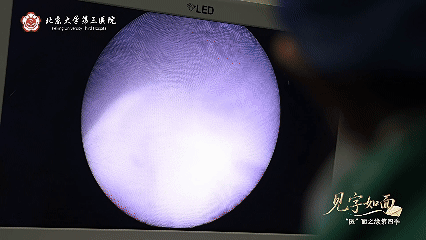 image4.gif