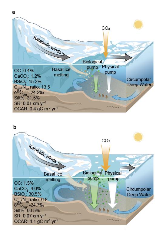 PNAS2.jpg PNAS2.jpg
